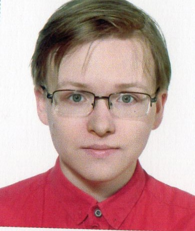 Программист C#